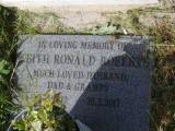 image of grave number 909035